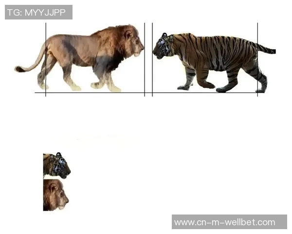 美洲虎与狮子谁更强大揭秘两大猛兽的生存之道与猎杀技巧 美洲虎与狮子谁更强大揭秘两大猛兽的生存之道与猎杀技巧
